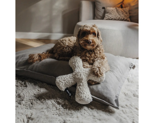 Chien couché sur un grand coussin pour chien avec un jouet en peluche dans un salon lumineux et organisé sur un tapis doux.