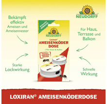 Neudorff Loxiran Ameisenköderdose zur Bekämpfung von Ameisen und Ameisennestern im Haus und Außenbereich.
