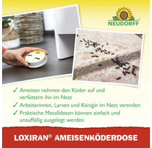 Neudorff Loxiran Ameisenköderdose: Hand platziert Metall-Köderdose auf dem Boden, Detailaufnahme von Ameisen und Neudorff Logo.