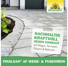 Terrasse pavée avec massif de fleurs, logo Neudorff et texte sur Finalsan AF Nettoyant allées et joints contre les mauvaises herbes.