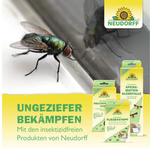 Insektizidfreie Ungezieferbekämpfung mit Neudorff Klebefallen für Speisemotten, Fruchtfliegen und Fliegenstopp neben einer Stubenfliege. Neudorff Logo.