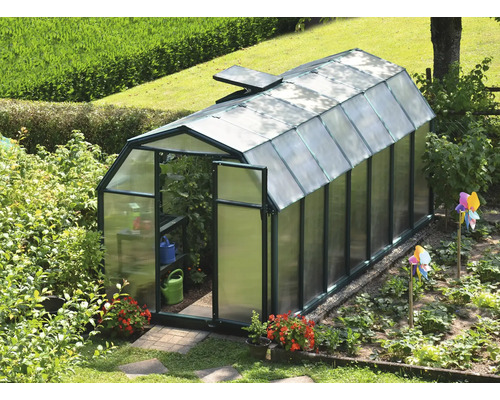 Gewächshaus mit grünem Rahmen und Hohlkammerplatten in einem Garten mit geöffneter Tür und Dachfenster.