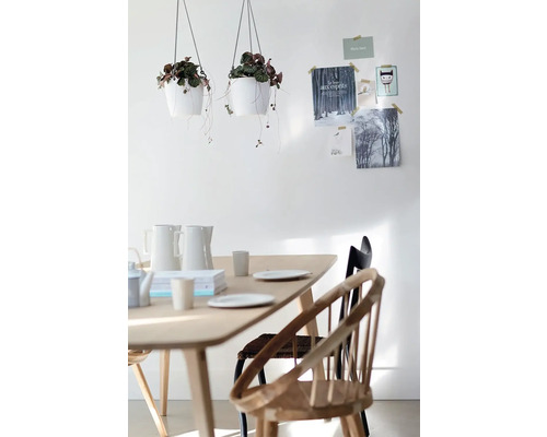 Helles Esszimmer mit Holztisch, zwei hängenden Pflanztöpfen und skandinavischen Stühlen vor einer weißen Wand mit Postkarten.