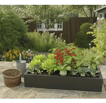 Bac à plantes rectangulaire sombre avec de la laitue, des tomates cerises et d'autres légumes sur une terrasse en pierre dans un jardin lumineux.