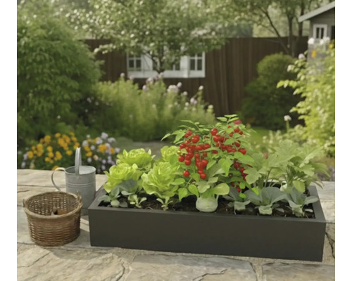 Bac à plantes rectangulaire sombre avec de la laitue, des tomates cerises et d'autres légumes sur une terrasse en pierre dans un jardin lumineux.