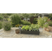 Jardinière noire avec de la salade et des légumes sur une terrasse en pierre dans un jardin lumineux avec des fleurs et un abri de jardin.