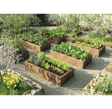 Jardin clair et organisé avec des potagers surélevés rectangulaires en acier Corten garnis de légumes et herbes sur du gravier.