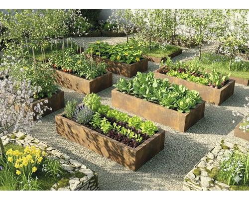 Jardin clair et organisé avec des potagers surélevés rectangulaires en acier Corten garnis de légumes et herbes sur du gravier.