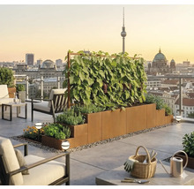 Moderner Dachgarten mit mehrstufigem Pflanzkasten aus Cortenstahl, einer Weinrebe am Rankgitter und Stadtpanorama von Berlin bei Sonnenuntergang.