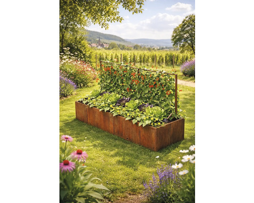 Jardinière surélevée rectangulaire en acier Corten avec treillage intégré, plantée de salades et de plantes grimpantes dans un jardin ensoleillé.