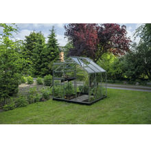 Serre transparente avec cadre en aluminium, fondation noire et lucarne sur une pelouse dans un jardin verdoyant.