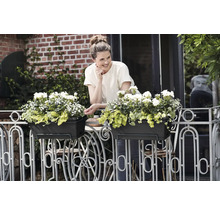 Femme sur un balcon derrière deux jardinières avec des fleurs blanches sur une balustrade en métal décorée.