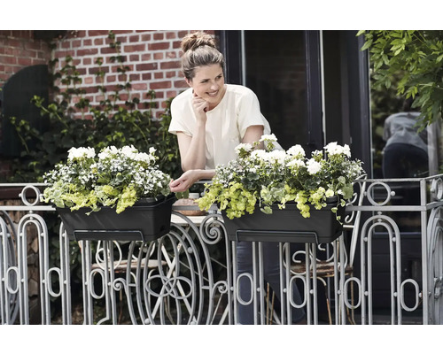 Femme sur un balcon derrière deux jardinières avec des fleurs blanches sur une balustrade en métal décorée.