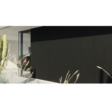 Façade de maison moderne avec revêtement mural vertical noir et porte vitrée de style minimaliste.