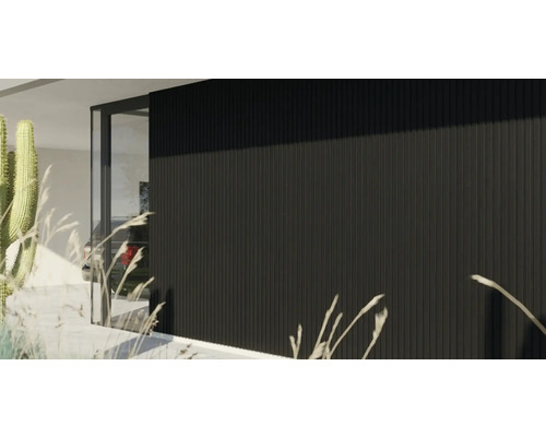 Façade de maison moderne avec revêtement mural vertical noir et porte vitrée de style minimaliste.