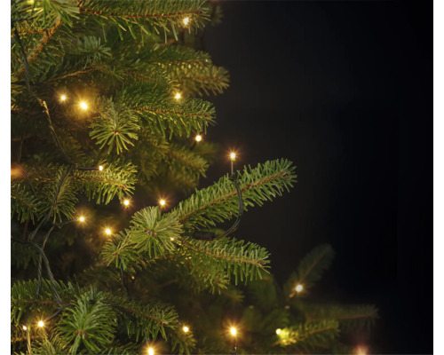 Lichterkette mit warmweißem Licht an einem grünen Weihnachtsbaum.