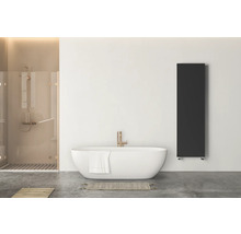 Salle de bain moderne avec radiateur vertical noir, baignoire îlot blanche et douche avec robinetterie dorée.