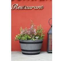 Bac à fleurs en forme de tonneau avec grain de bois et anneaux noirs, planté d astilbes roses, placé à côté d une lanterne noire.