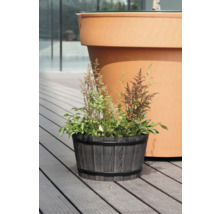 Pflanzkübel in Holzoptik und Fassform mit Pflanzen auf einer Holzterrasse.