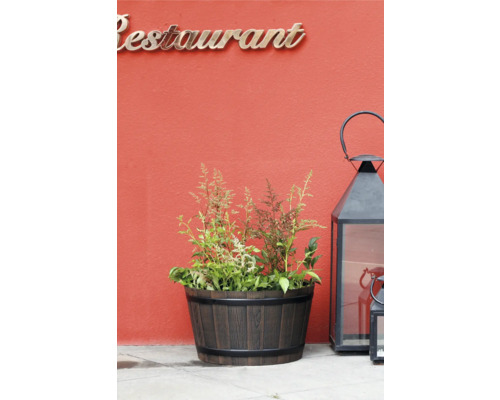 Pflanzfass an Holzoptik mat Astilbe beplanzt an eng grouss schwaarz Gaardelaterne aus Metall virun enger Mauer mam Schrëftzuch Restaurant.