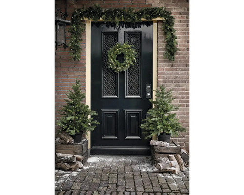 Entrée avec porte noire, décorée avec une couronne de Noël lumineuse, une guirlande et deux petits sapins artificiels en pots.