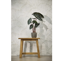 Papier peint intissé à large motif d'éventail derrière une plante sur un tabouret en bois.