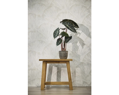 Papier peint intissé à large motif d'éventail derrière une plante sur un tabouret en bois.