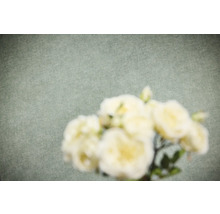 Papier peint intissé avec une texture fine à l'aspect lin et des fleurs floues au premier plan.