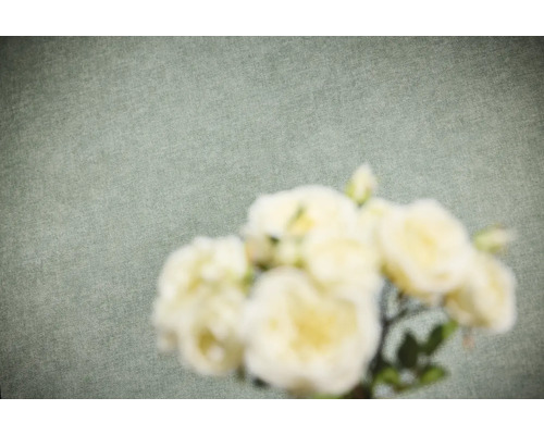 Papier peint intissé avec une texture fine à l'aspect lin et des fleurs floues au premier plan.
