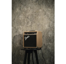 Amplificateur acoustique Fender sur un tabouret devant un mur texturé.