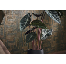 Papier peint structuré avec un motif géométrique abstrait derrière une plante d'intérieur Alocasia.