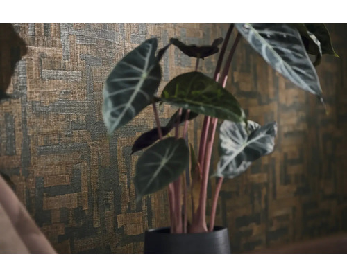 Papier peint structuré avec un motif géométrique abstrait derrière une plante d'intérieur Alocasia.