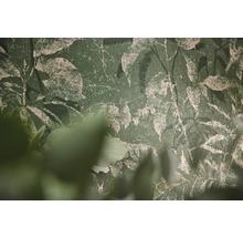 Papier peint texturé vert avec motif de feuilles botaniques et aspect crépi usé.