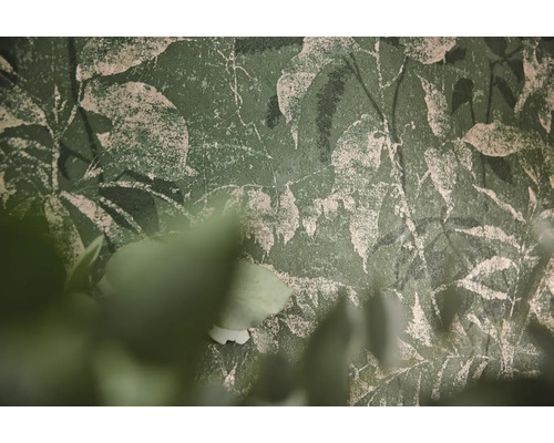 Papier peint texturé vert avec motif de feuilles botaniques et aspect crépi usé.