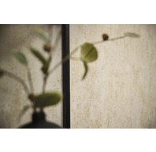 Papier peint texturé beige avec une finition mouchetée derrière une plante floue.