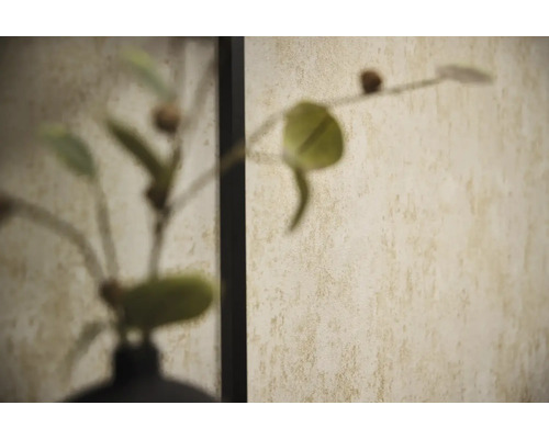 Papier peint texturé beige avec une finition mouchetée derrière une plante floue.