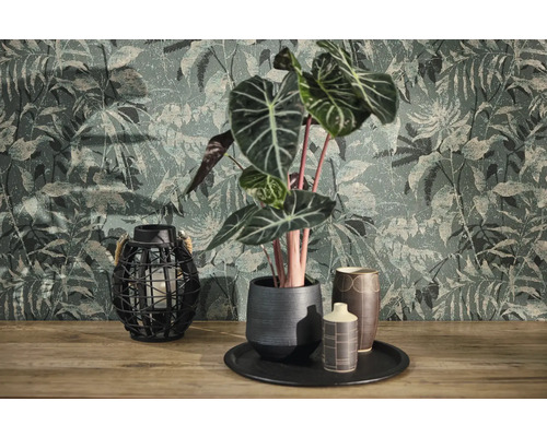 Papier peint intissé avec motif de jungle et structure vintage derrière une plante Alocasia en pot de céramique et une lanterne grillagée sur bois.