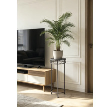 Hoher Pflanzenständer aus Metall mit einer Palme im Topf neben einem Fernsehschrank in einem hellen Wohnzimmer.
