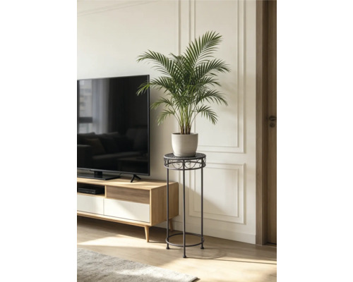 Hoher Pflanzenständer aus Metall mit einer Palme im Topf neben einem Fernsehschrank in einem hellen Wohnzimmer.