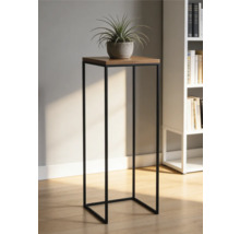 Support pour plantes moderne avec cadre en métal noir et plateau en bois, avec plante en pot dans une pièce lumineuse avec bibliothèque.