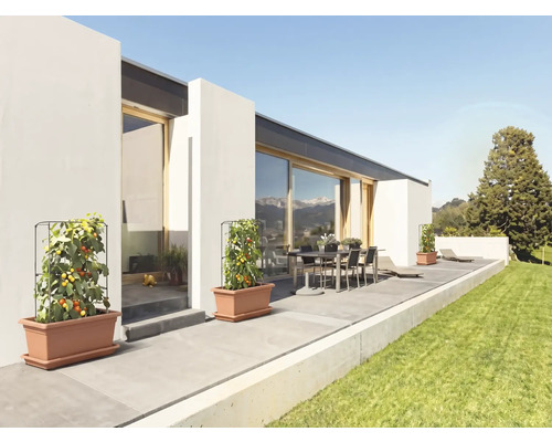 Tomatenpflanzen in Kunststoff-Pflanzgefäßen mit Rankgittern auf einer modernen Terrasse mit Gartenmöbeln und angrenzender Rasenfläche.