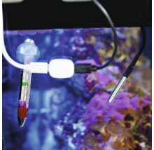 Aquarium-Thermometer und digitaler Temperaturfühler in einem Aquarium.