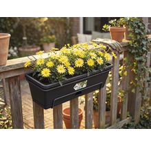Jardinière de balcon sombre Elho avec des fleurs jaunes sur une balustrade en bois dans un jardin. Logo Elho.