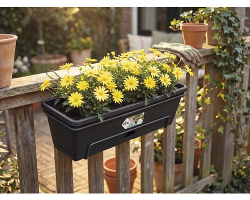 Jardinière de balcon sombre Elho avec des fleurs jaunes sur une balustrade en bois dans un jardin. Logo Elho.