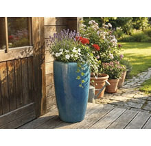 Grand pot de fleurs bleu en céramique planté de lavande et de géraniums sur une terrasse en bois à côté d'un abri de jardin en bois.