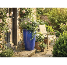 Grand pot de fleurs bleu en céramique sur terrasse en pierre, porte en bois, chaise de jardin et fleurs dans un jardin lumineux et soigné.
