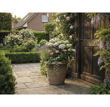 Grand bac à plantes aspect pierre avec des hortensias, de la lavande et des géraniums sur une terrasse en pierre à côté d'une porte en bois.