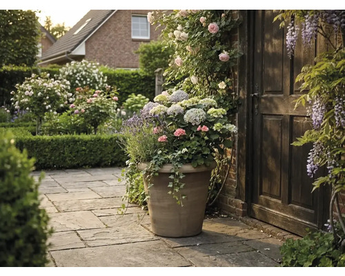 Grand bac à plantes aspect pierre avec des hortensias, de la lavande et des géraniums sur une terrasse en pierre à côté d'une porte en bois.