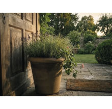Grand pot de fleurs en terre cuite avec lavande, graminées et géraniums devant une porte en bois sur une terrasse en pierre.
