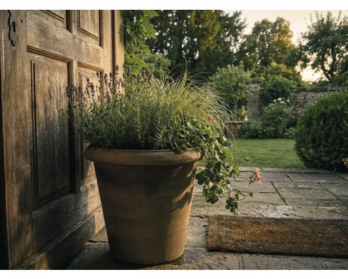 Grand pot de fleurs en terre cuite avec lavande, graminées et géraniums devant une porte en bois sur une terrasse en pierre.